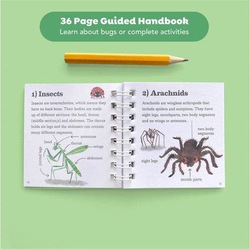 Bug Spotter Kit