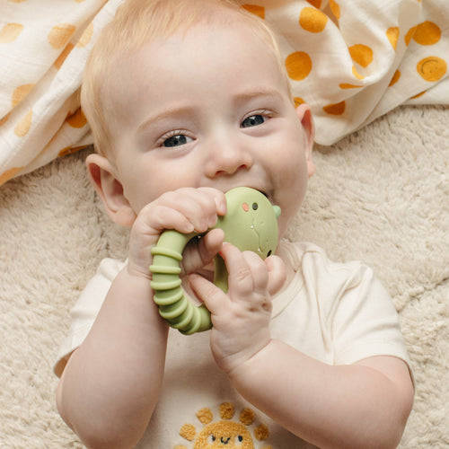 Silicone Teether - Dino